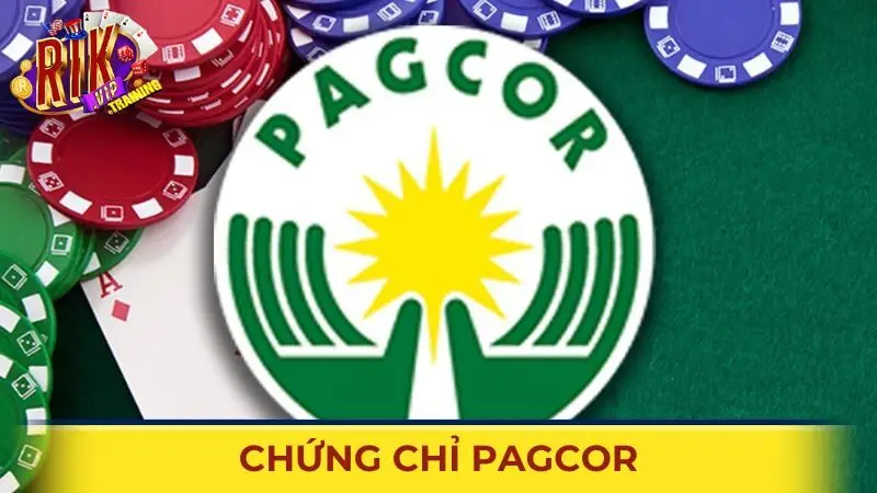 Chứng chỉ hoạt động uy tín của Rikvip