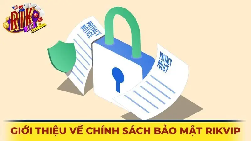 Giới thiệu về chính sách bảo mật Rikvip
